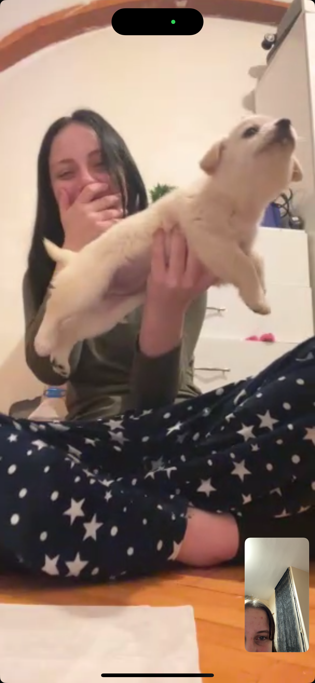 jane ve uçan kopkiği