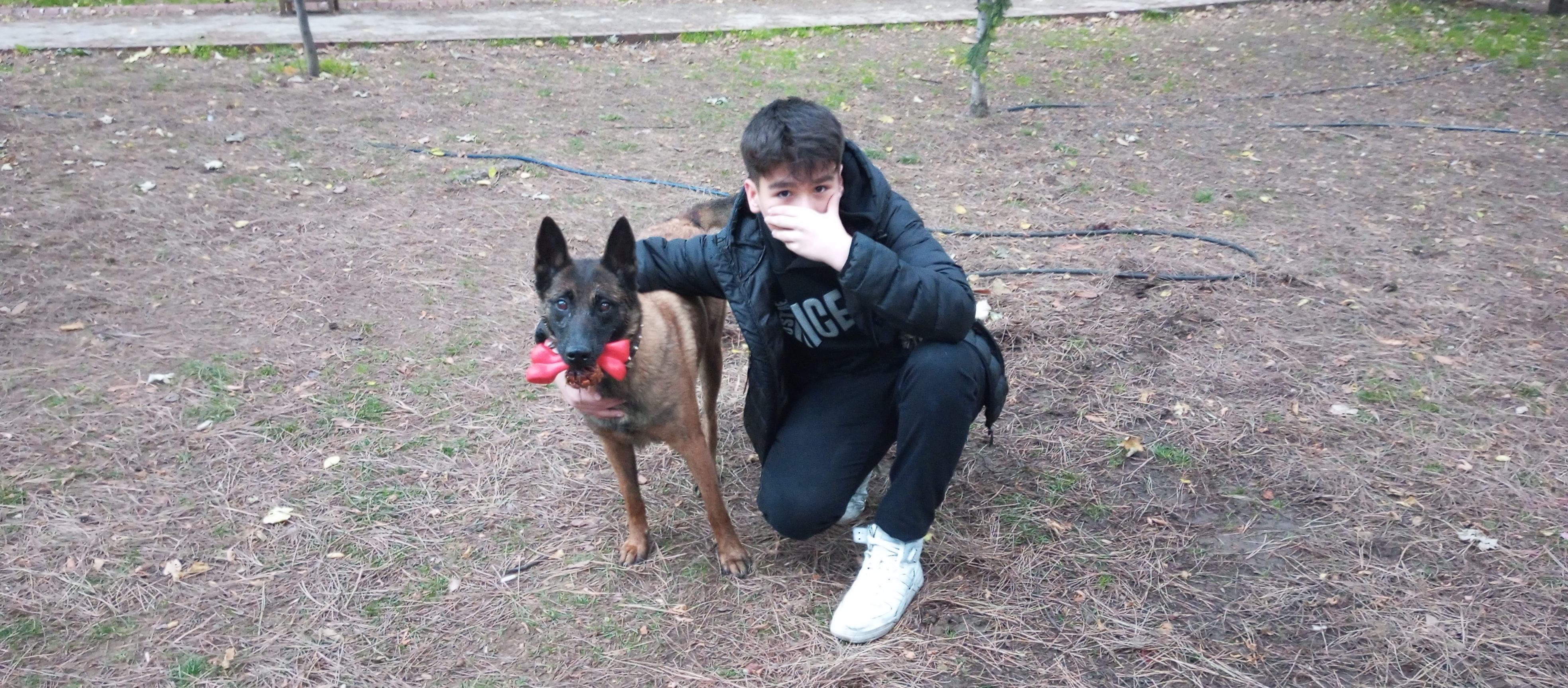 umut(soldaki) ve kopek(sağdaki)